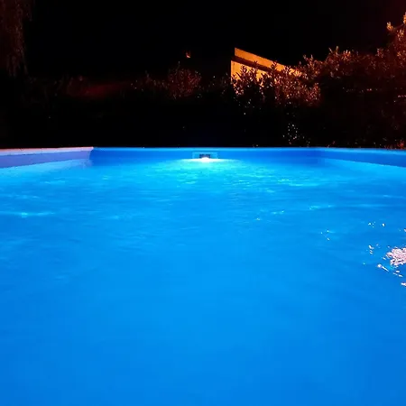 Vemini * מוסטר
